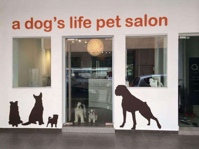 Urgent Takeover: Hip And Trendy Pet Salon With Strong Regular Customer Base