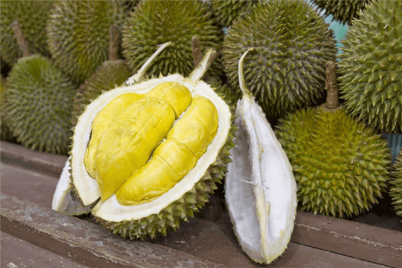 (已失效)PENANG Balik Pulau durian farm offer! Below market price! 15acres !