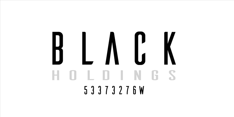(已失效)BLACK HOLDINGS looking for Angel Investors/Partners