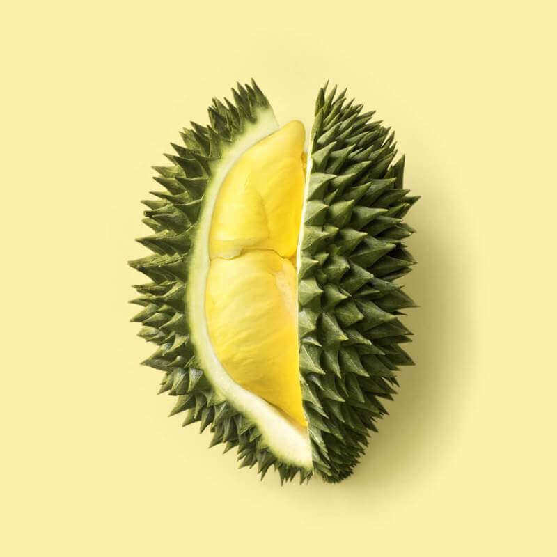 (已失效)Start Your Own Profitable Durian Business