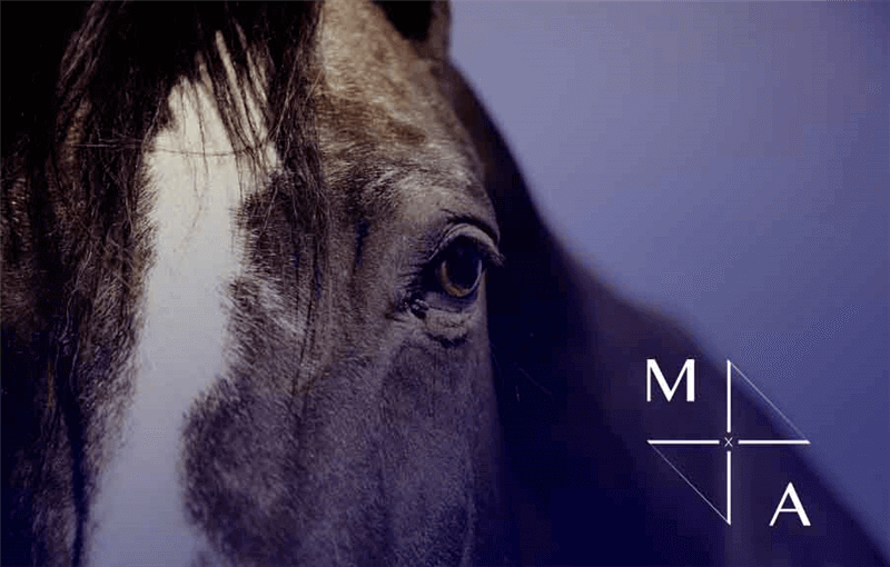 Equestrian Business | Unique Position - Growth Potential