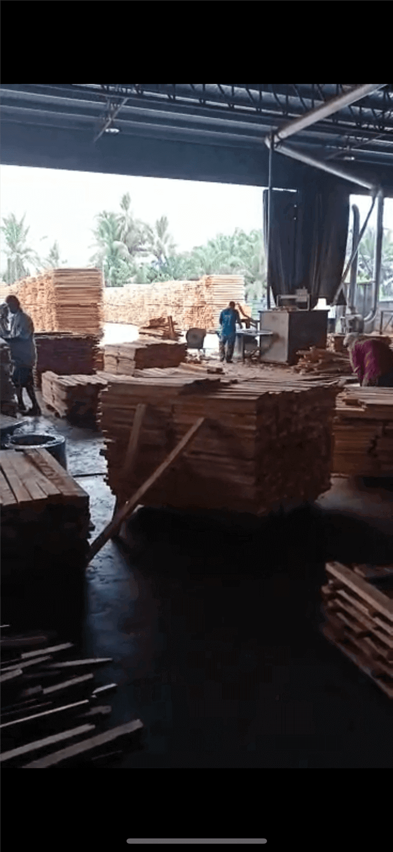 马来西亚木材厂整体转让