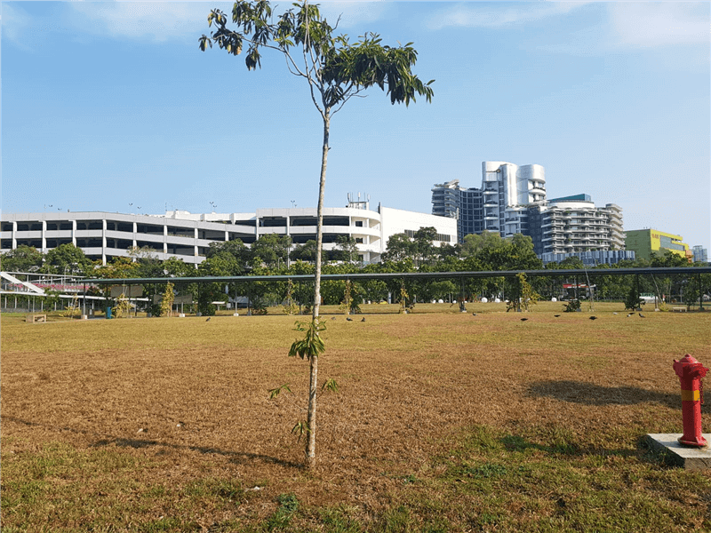 (已失效)Approved Childcare Site Or Land For Lease In Jurong