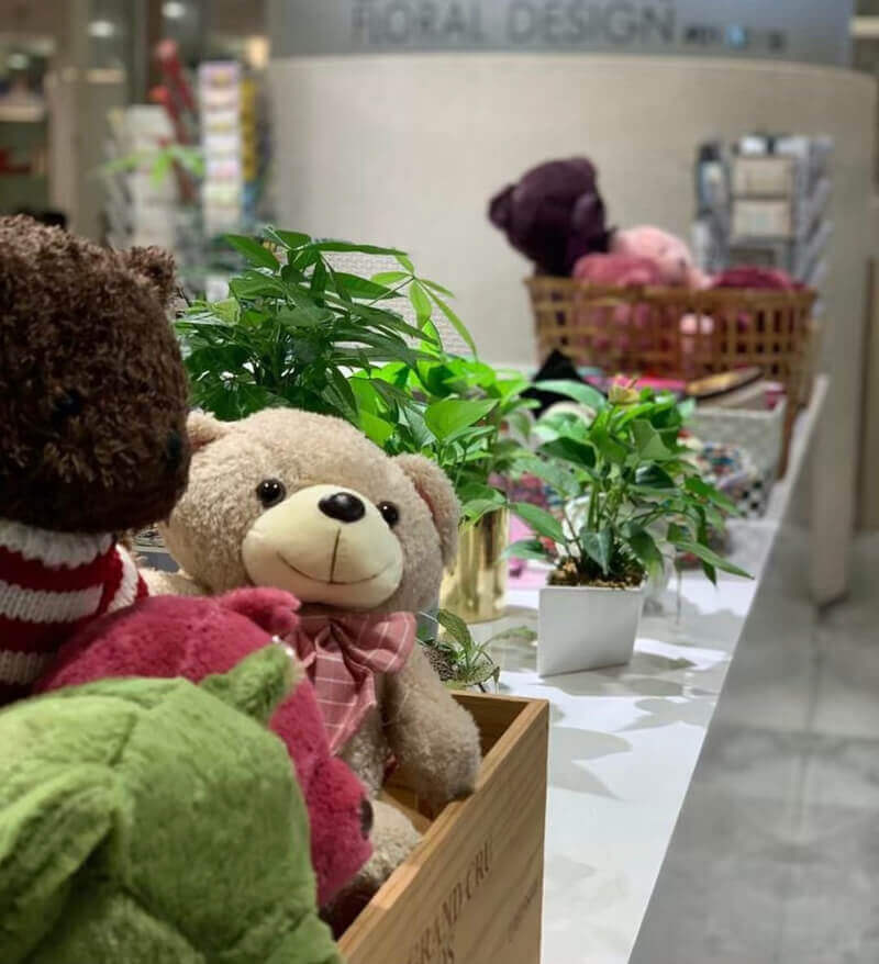 (已失效)Flower Shop In Shenton Way Area