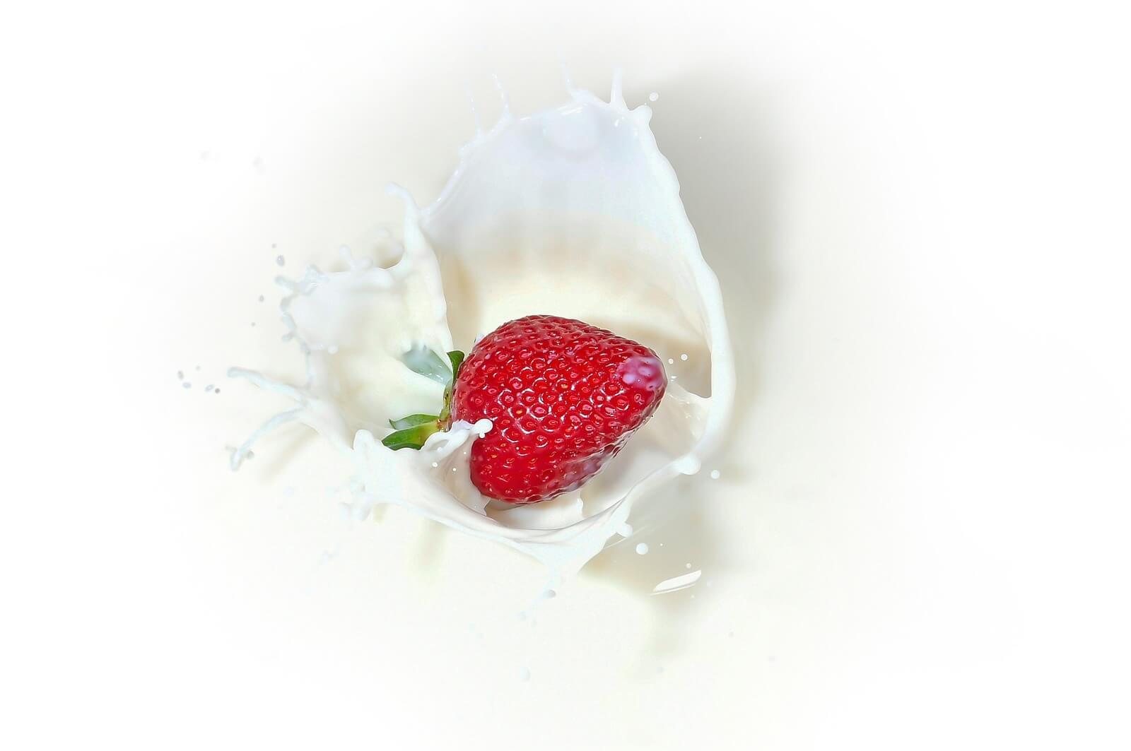 (已成交)Uniquely Created Yogurt Making, Distribution Cum Retail - Selling Below Asset Value 97498301