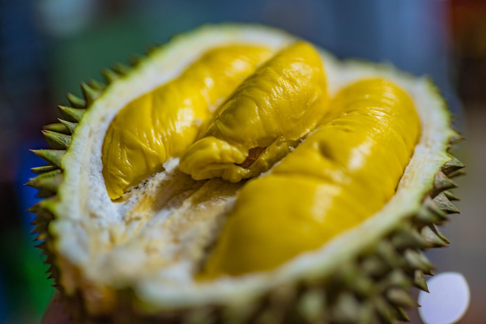 (已失效)Profitable Durian Industry