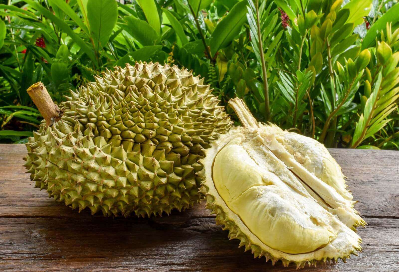 (已失效)Profitable Durian (Profit 150K - 300K) Looking For Loan (5% Monthly Return)