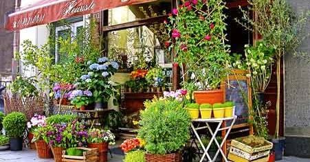 (已成交)Chain of Lifestyle Florist Shops looking for Investor