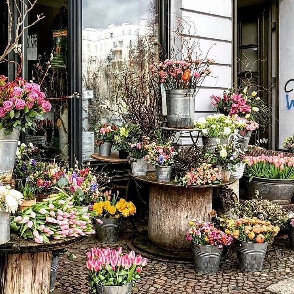 (已成交)Chain of Lifestyle Florist Shops looking for Investor
