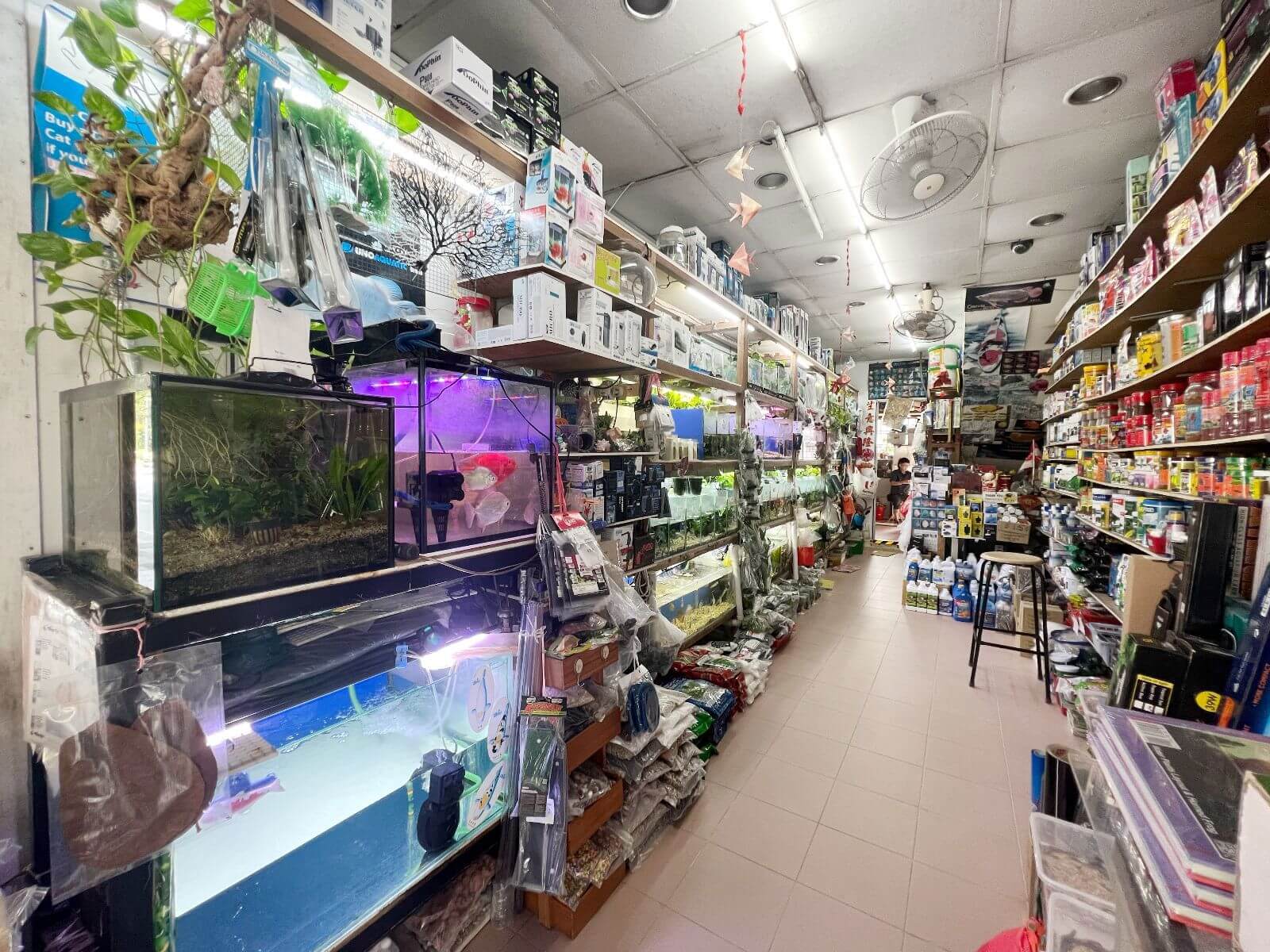 (已失效)Fish Aquarium Shop Near Bedok Central For Takeover ( Half Shop Space)
