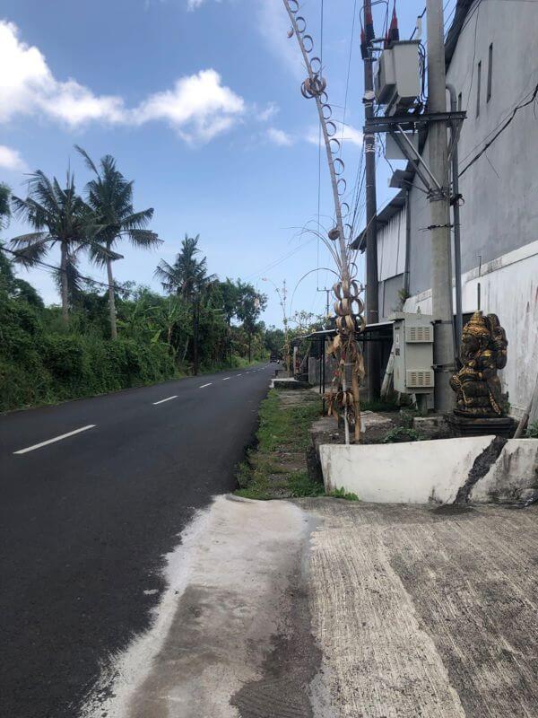 For Sale,Herbal Medicine,Health Food & Essential Oil Factories In Bali–Ready For Immediate Transfer!