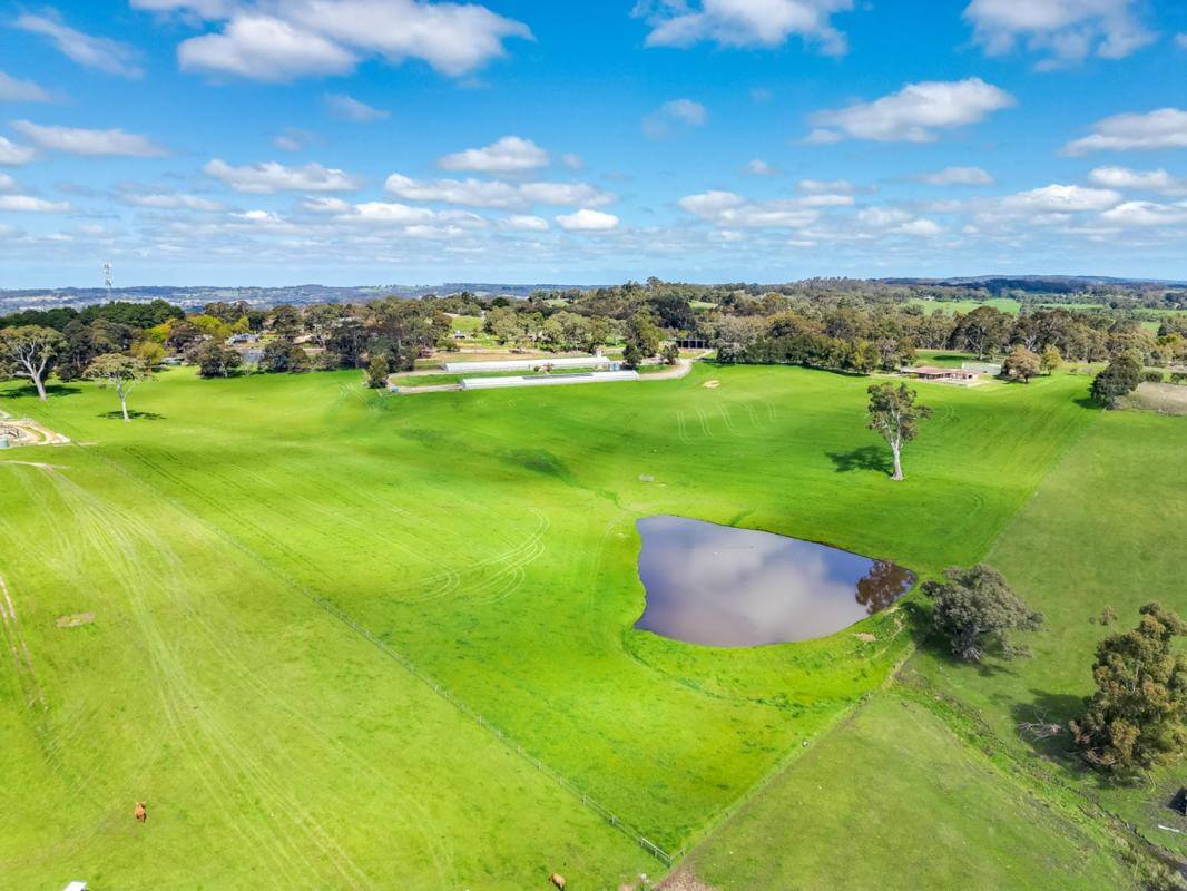 Urban life with rural feeling