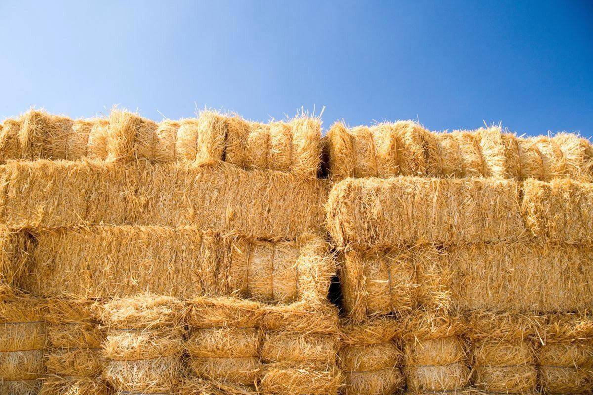 Freehold Agricultural Supplies  Toowoomba Region, Excellent Reputation.