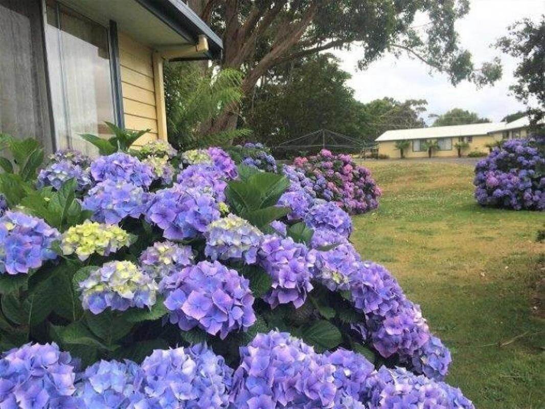 When Value Counts 23 Self-Contained Apartments t/o $800K 9 Titles $2.45m 2023 net $367,000