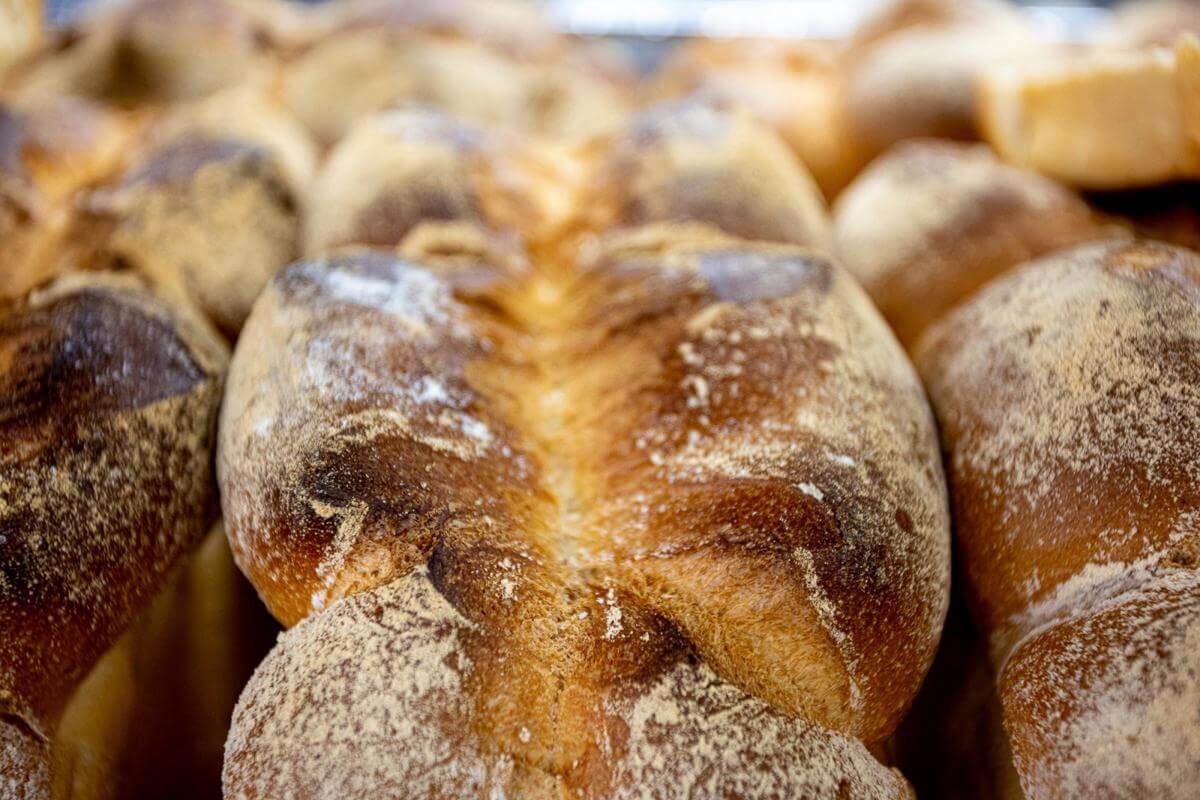 PROFITABLE 5 DAY SANDWICH SHOP