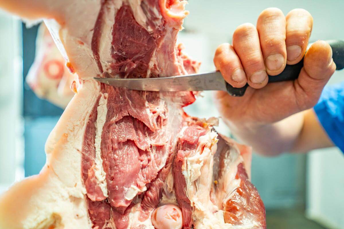 BUTCHER BUSINESS FOR SALE, INC PREMISES & DELIVERY VEHICLE