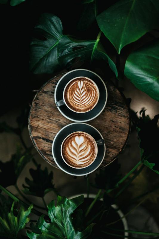 Renowned Café in Popular Hills Area, Short Trading Hours, High Profits