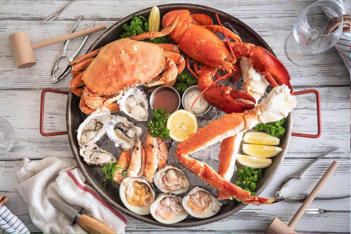 Harvest Success With Australia's Premier Aquaculture Cultivation Equipment Supplier
