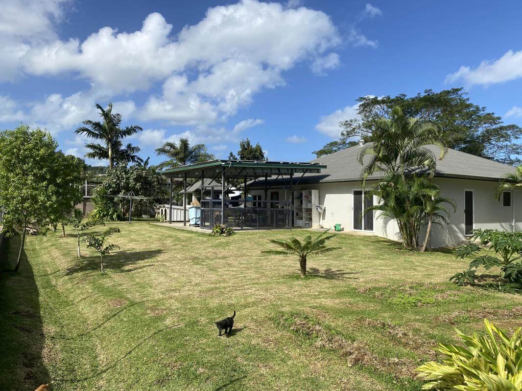 Veterinary Clinic for Sale in Port Vila, Vanuatu.