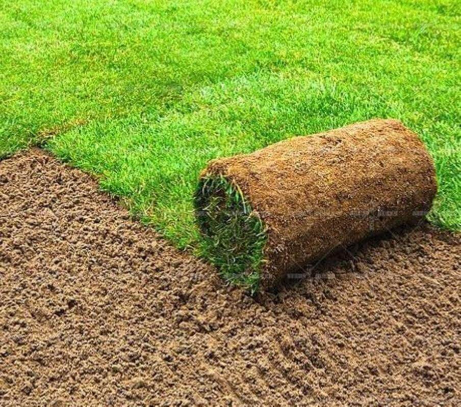 Landscape Supplies/Earthmoving Business, Run Under Management, Near Gosford