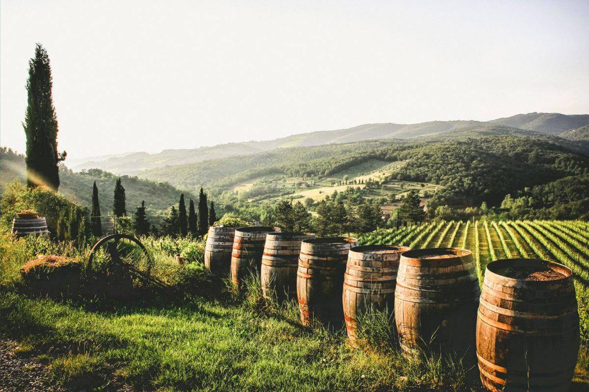 UNDER CONTRACT - Exceptional Cool-Climate Vineyard & Winery in Tasmania's Wine Heartland