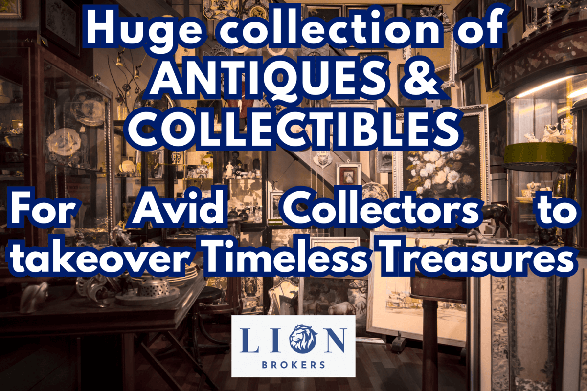 Huge Collection Of Antiques And Collectibles For Sale