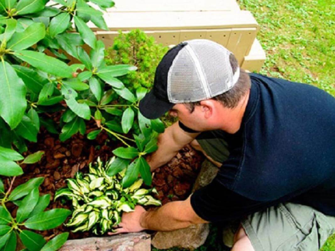 Commercial Ride on Lawnmowing Business  SE Suburbs - EBS
