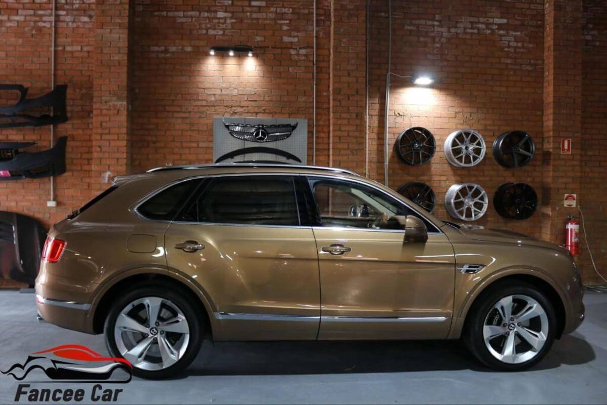 Established brand in Car Custumization.