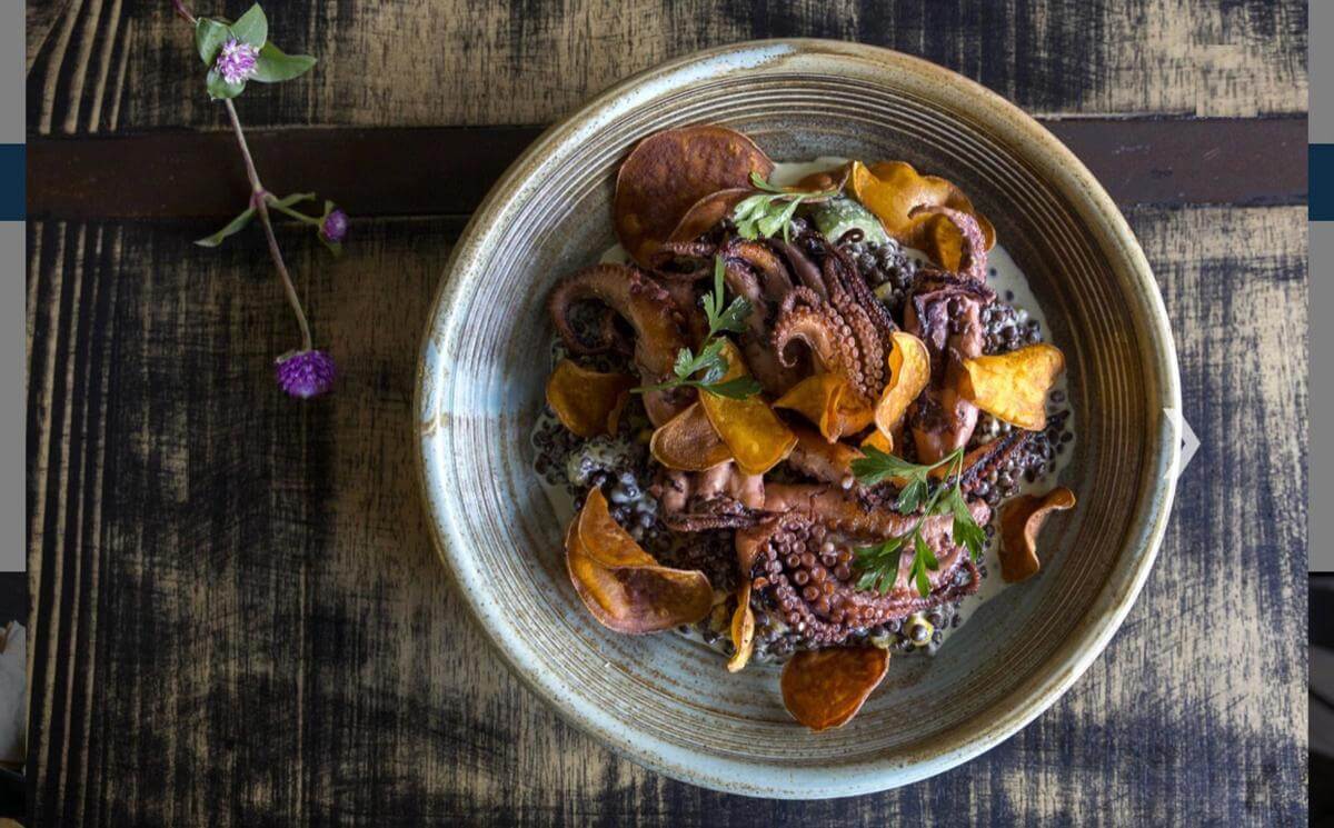 Established Restaurant & Catering Business | Large Commercial Kitchen | Prime Sydney Location