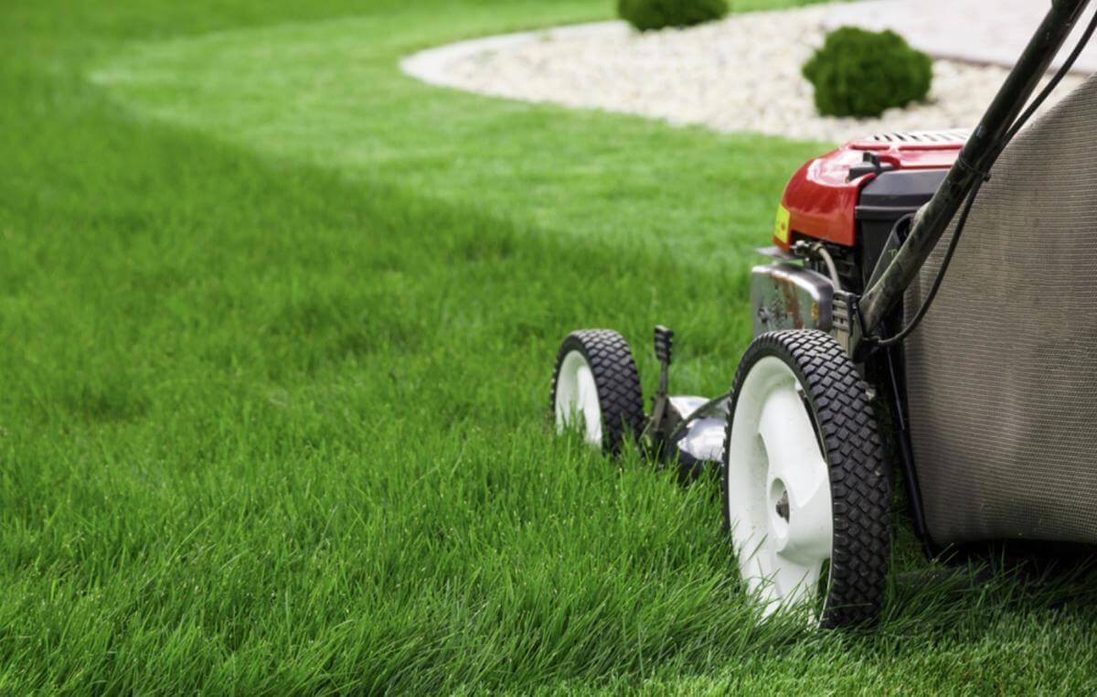 LAWN MOWING BUSINESS MELBOURNE