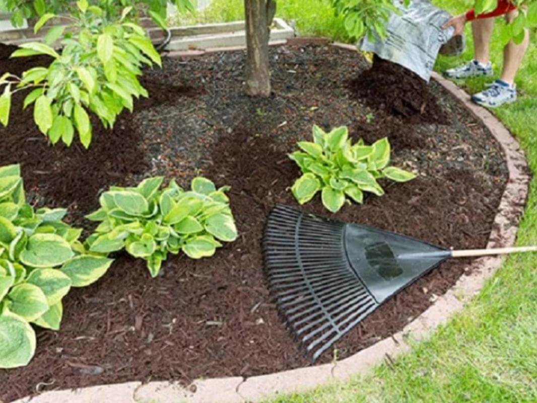 Commercial Ride on Lawnmowing Business  SE Suburbs - PRICE REDUCED - RELOCATING -EBS