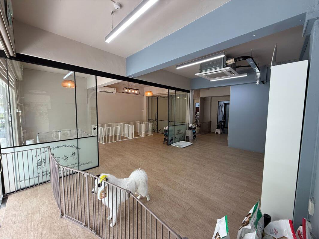 (已成交)Pet Shop Takeover Opportunity – Fully Renovated, Avs-Approved, Ready To Operate, Prime Location