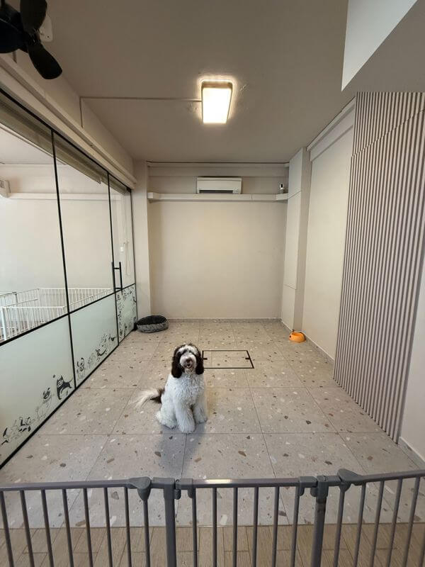 (已成交)Pet Shop Takeover Opportunity – Fully Renovated, Avs-Approved, Ready To Operate, Prime Location
