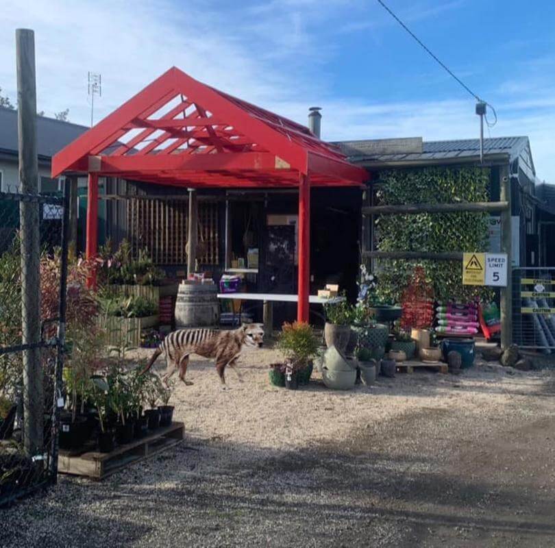 Vendors terms. Busy Hardware & Garden centre.