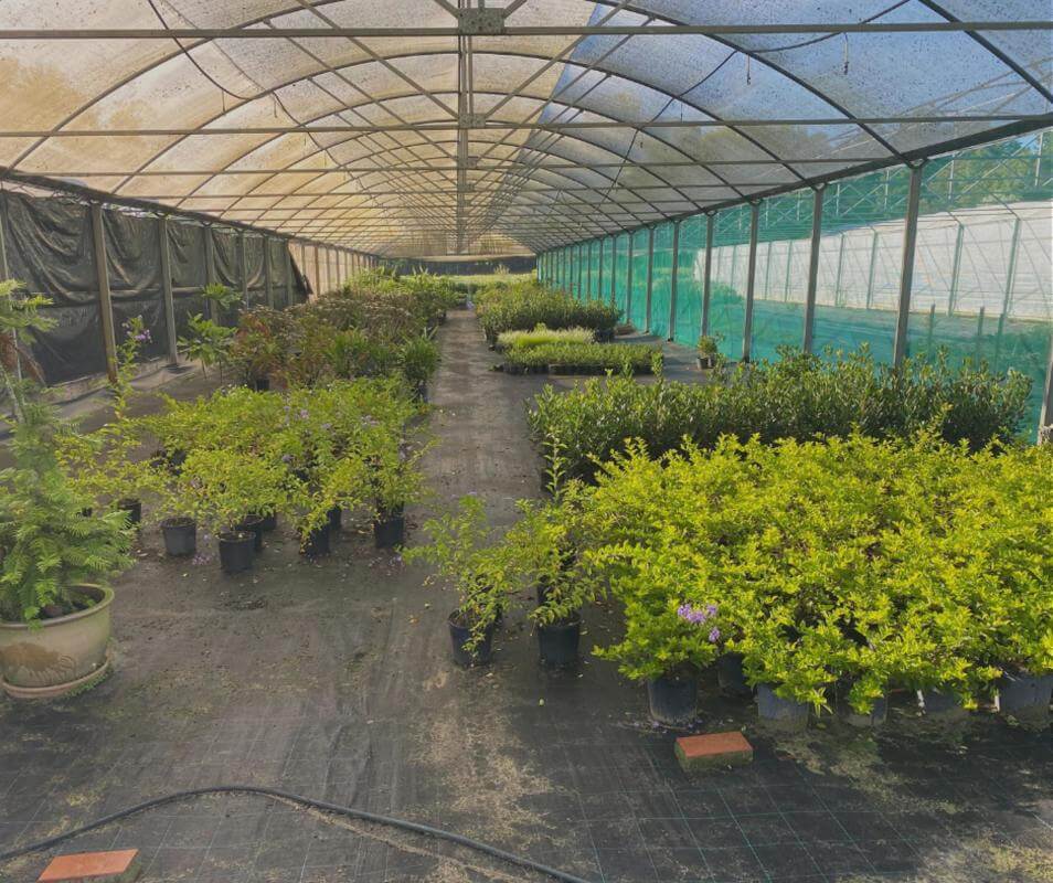 Whole Business at Equipment Price Only!