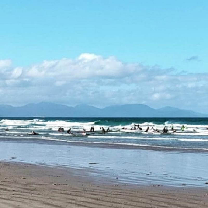 GROUP ACCOMODATION, SCHOOL CAMP, CONFERENCE