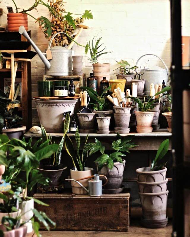 Highly Successful Blooming Deloraine Floristry  High Turn over O/O $75,000+SAV