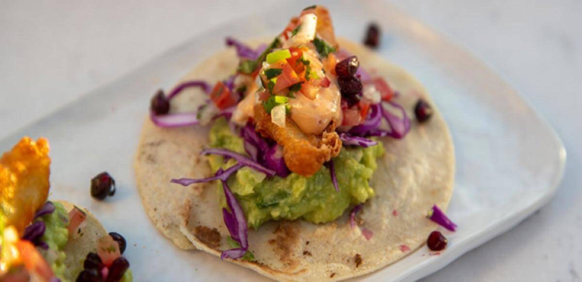 Profitable Digital Publishing & Lifestyle Platform