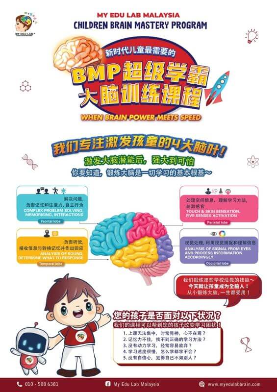 My Edu Lab Children's Whole Brain Development Education