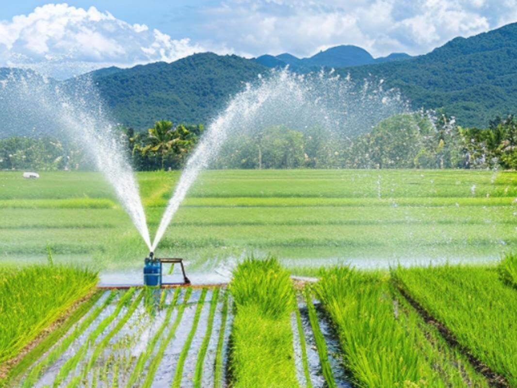 Leading Irrigation Retailer and Wholesale business in the New England region for sale.
