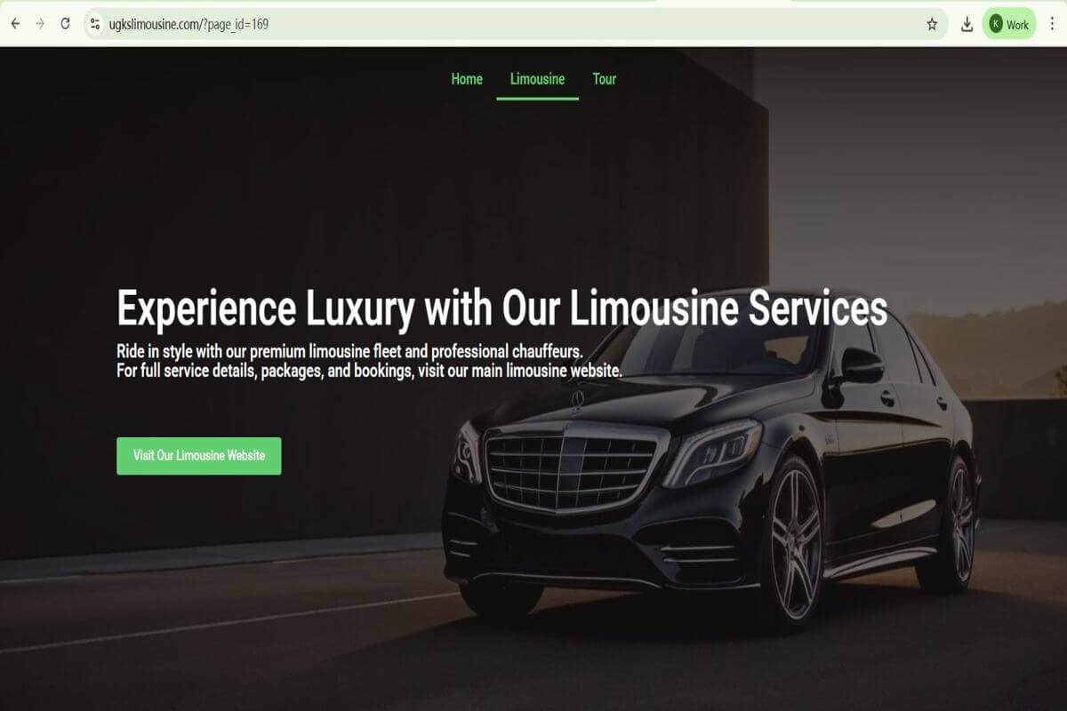 Profitable Car Rental Business For Sales