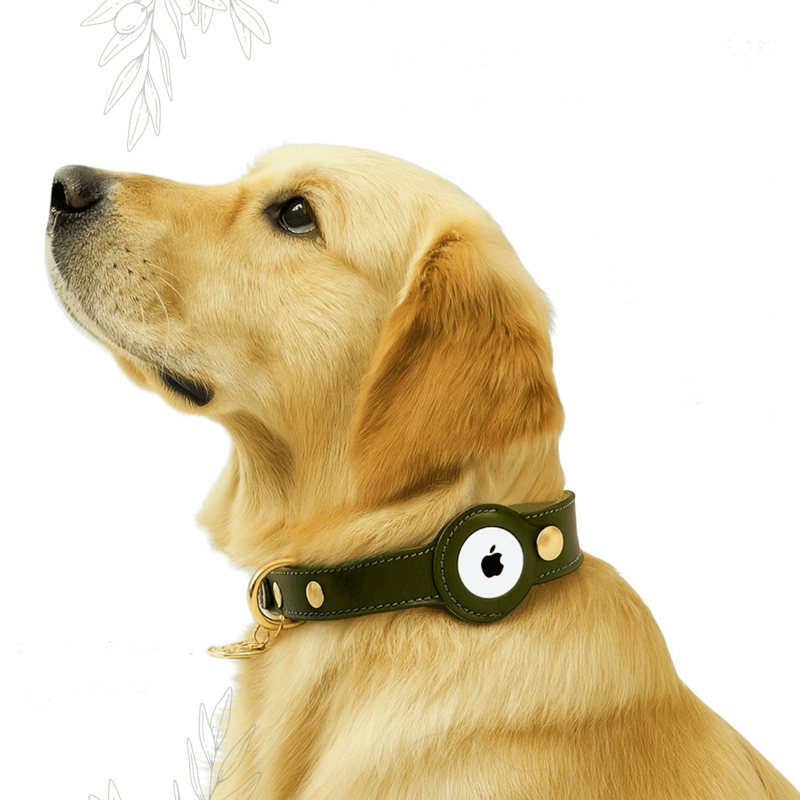 Successful Pet & Accessories E-Commerce Business For Sale