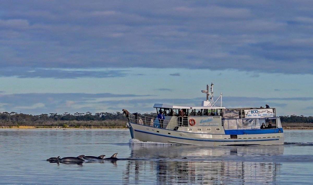 Boat Cruise business for sale. A great lifestyle.