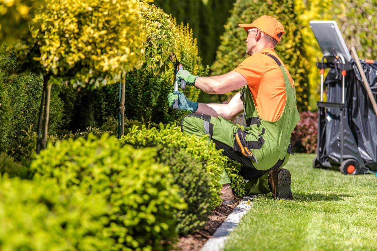 Established Landscaping Business | Net Profit  $304,038  Illawarra Region