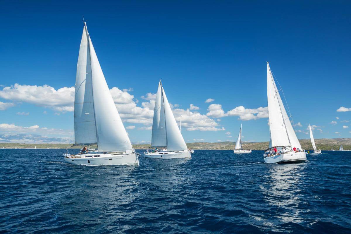 Highly Profitable Business in the Leisure Industry| $3m EBITDA  Auckland NZ