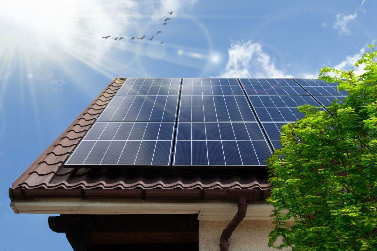 Rare Opportunity In Singapore's Green Energy Solar Sector!