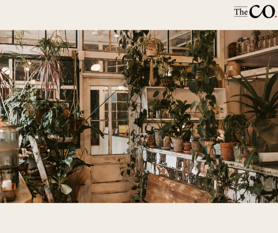 High-Growth Franchise Opportunities In Lifestyle Sectors With Minimal Investment