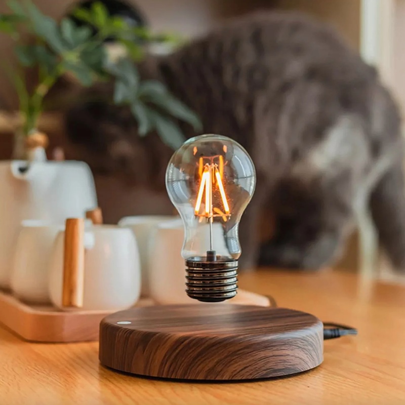 Home Décor & Lighting E-Commerce Business For Sale