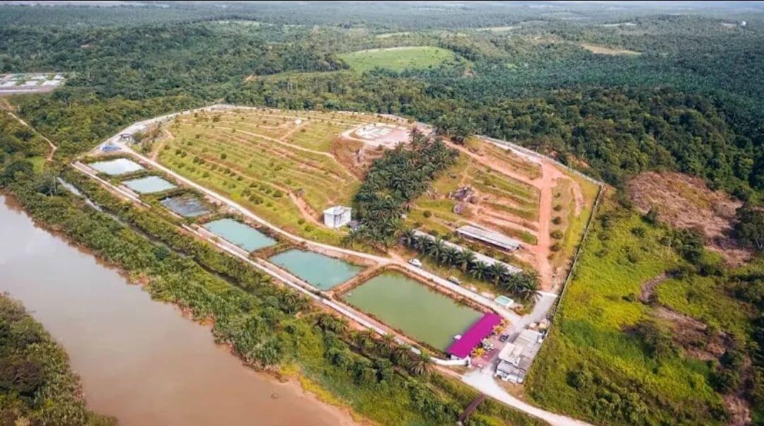 ECO ADVENTURE PARK – OPERATOR / PARTNER OPPORTUNITY (JOHOR)