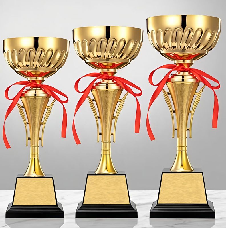 Customized Trophies For Company's Awards And Personal Collections